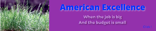 Save time, headaches & money. Call American Excellence.